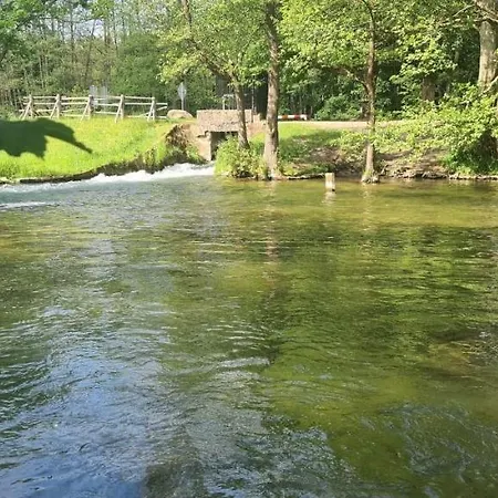 Lesne Dziady Holiday home Borsk