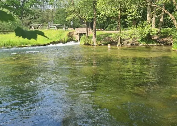 Lesne Dziady Semesterbostad Borsk